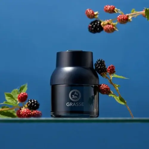 [1+1이벤트]불스원 그라스 디퓨저 블루 차량용 방향제 100ml 블랙베리