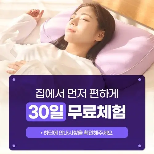 바디씨 에그젤 경추베개 거북목 일자목 옆잠 숙면 TPE 엘라머 베개 퍼플