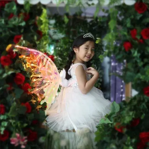 단다니 움직이는날개 LED 요정 날개 나비 천사 할로윈 생일 파티 어린이 강아지 소품