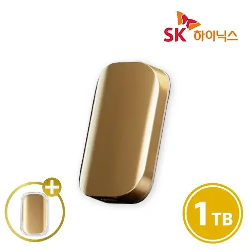 SK하이닉스 Beetle X31 외장SSD 1TB 전용케이스 샴페인골드